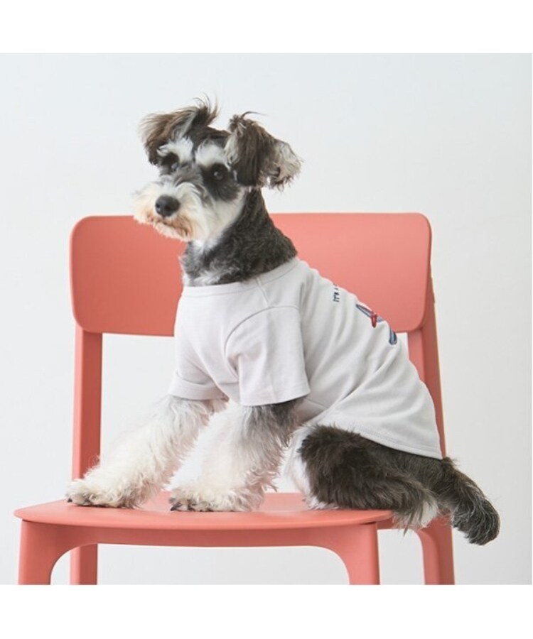 プティマイン(petit main)の【リンク】【DOG】乗り物アップリケTシャツ1