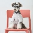 プティマイン(petit main)の【リンク】【DOG】乗り物アップリケTシャツ2