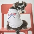 プティマイン(petit main)の【リンク】【DOG】乗り物アップリケTシャツ ライトグレー(111)