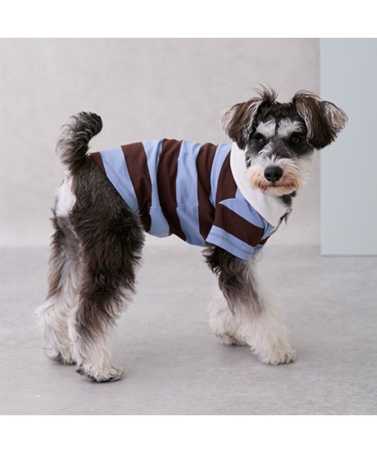 プティマイン(petit main)の【リンク】【DOG】ラガーシャツ1