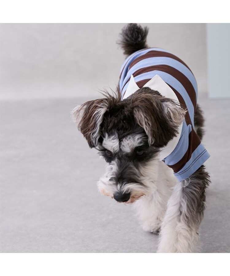 プティマイン(petit main)の【リンク】【DOG】ラガーシャツ3