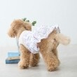 プティマイン(petit main)の【リンク】【DOG】花柄ドッキングワンピ3