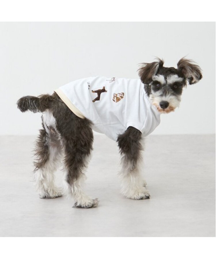 プティマイン(petit main)の【リンク】【DOG】DOG・Sタンク3