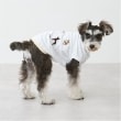 プティマイン(petit main)の【リンク】【DOG】DOG・Sタンク3