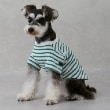 プティマイン(petit main)の【GOODPRICE冷感】ボーダー半袖Tシャツ10