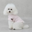 プティマイン(petit main)の【GOODPRICE冷感】ボーダー半袖Tシャツ11