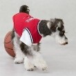 プティマイン(petit main)の【リンク】【DOG】【接触冷感】ユニフォーム2