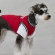 プティマイン(petit main)の【リンク】【DOG】【接触冷感】ユニフォーム3
