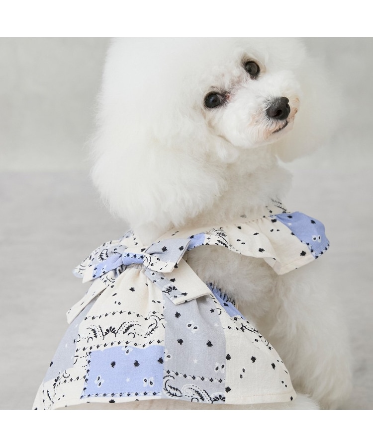 プティマイン(petit main)の【リンク】【DOG】 肩フリルワンピ2