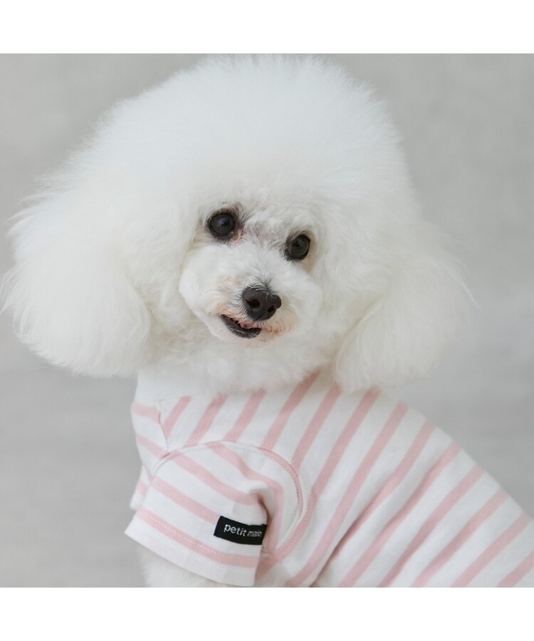 プティマイン(petit main)の【リンク】【DOG】【接触冷感】ボーダーTシャツ8