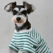 プティマイン(petit main)の【リンク】【DOG】【接触冷感】ボーダーTシャツ5