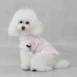 プティマイン(petit main)の【リンク】【DOG】【接触冷感】ボーダーTシャツ ピンク(071)