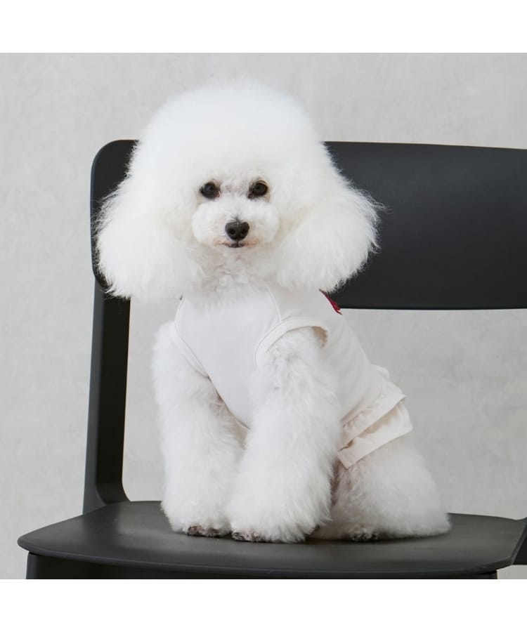 プティマイン(petit main)の【リンク】【DOG】【水陸】フリルタンク6
