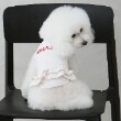 プティマイン(petit main)の【リンク】【DOG】【水陸】フリルタンク アイボリー(104)