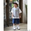 プティマイン(petit main)の【新幹線】袖配色半袖Tシャツ4