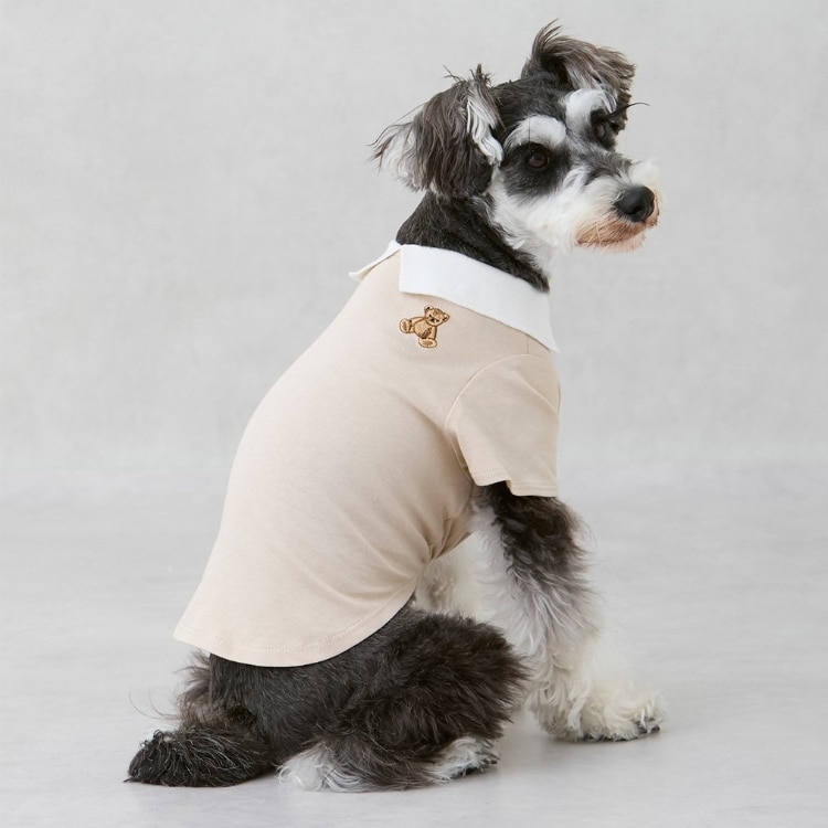 プティマイン(petit main)の【DOG】【接触冷感】ポロ衿配色Tシャツ ペットウェア
