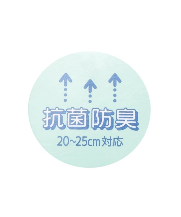 ラブトキシック・エル ティー エックス シー(Lovetoxic LTXC)の【抗菌防臭】ロゴリブスクールソックス6