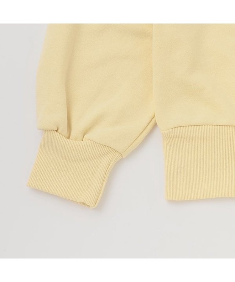 ラブトキシック・エル ティー エックス シー(Lovetoxic LTXC)の【GOODPRICE】カレッジコンパクトプルパーカ3