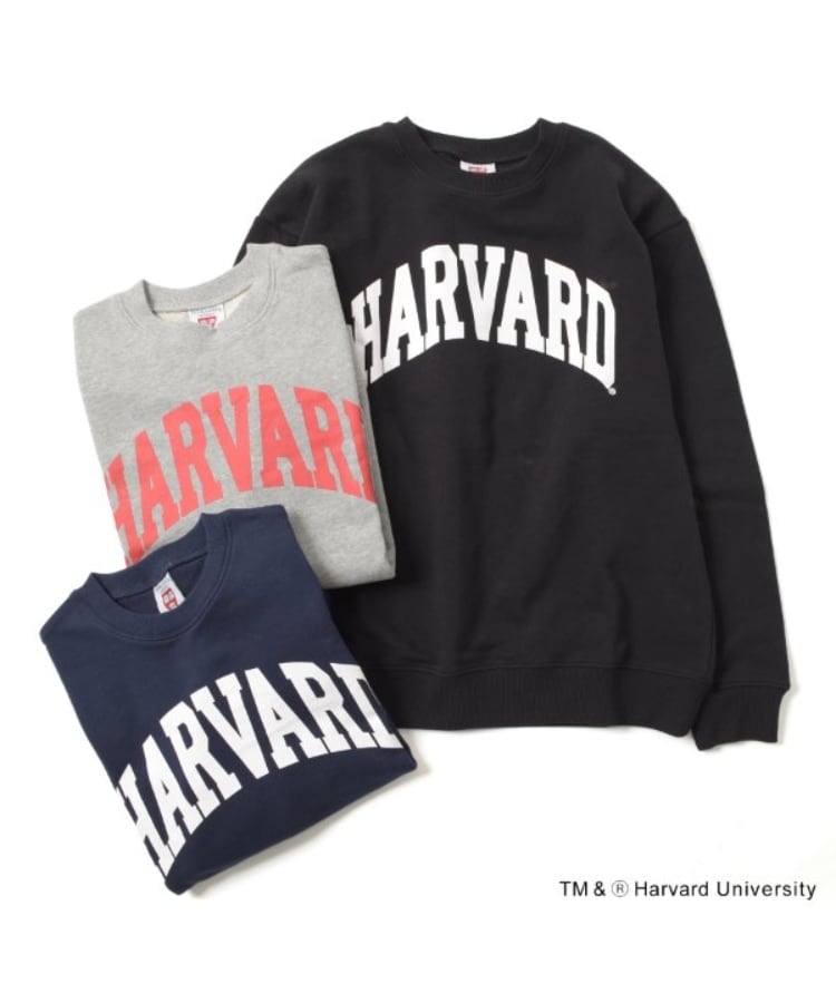 グラソス(GLAZOS)の【HARVARD】フロントアーチロゴプリントトレーナー6