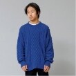 グラソス(GLAZOS)のケーブルニット ブルー(091)