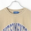 グラソス(GLAZOS)の【ヘビーウェイト天竺】ピグメントカレッジロゴTシャツ2