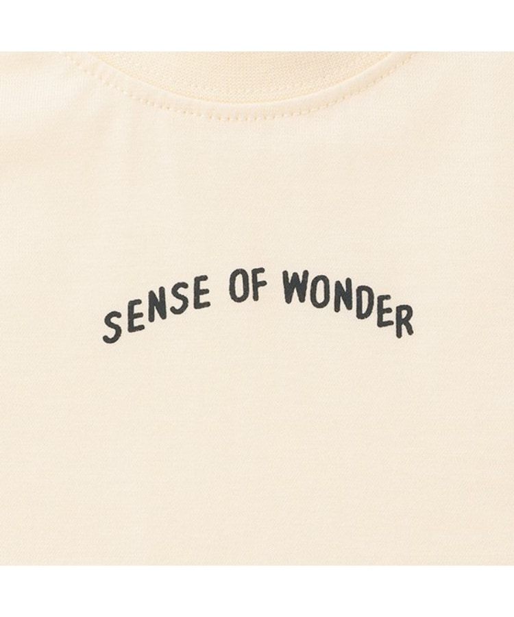 センスオブワンダー(sense of wonder)の恐竜Tシャツ4