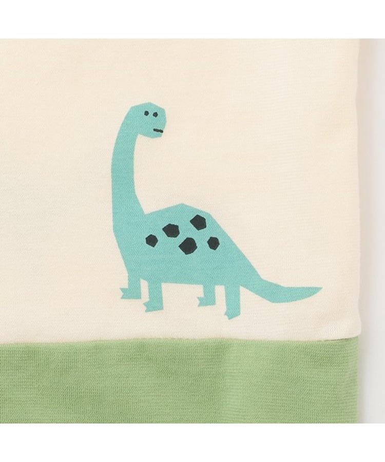 センスオブワンダー(sense of wonder)の恐竜Tシャツ7