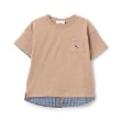 センスオブワンダー(sense of wonder)のペンギンシシュウTシャツ モカブラウン(142)
