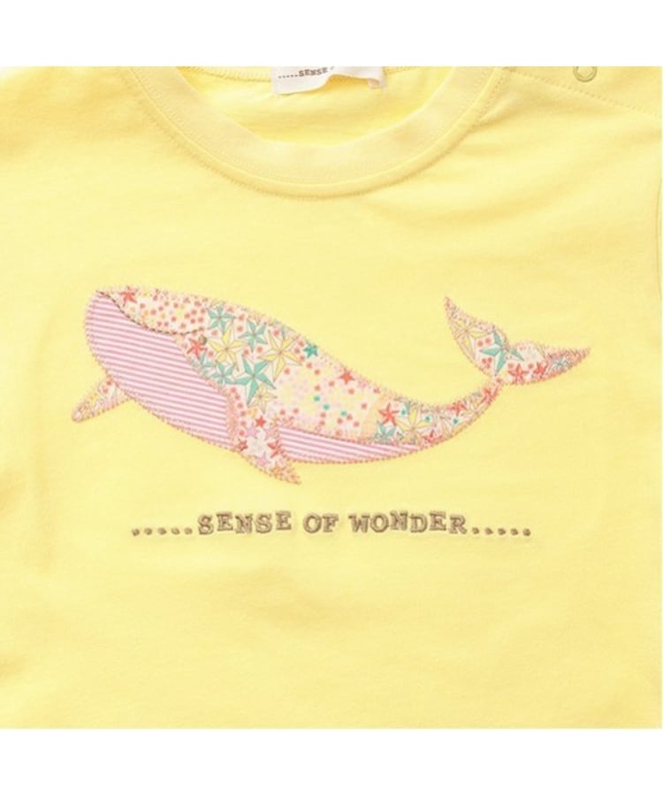 センスオブワンダー(sense of wonder)の接触冷感アデラジャクジラTシャツ4
