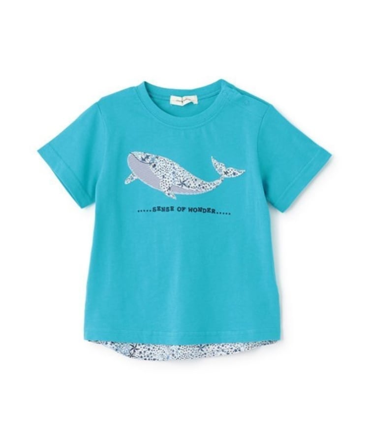 センスオブワンダー(sense of wonder)の接触冷感アデラジャクジラTシャツ12