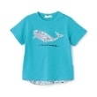 センスオブワンダー(sense of wonder)の接触冷感アデラジャクジラTシャツ12