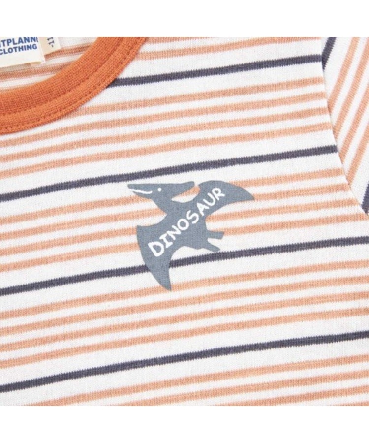 ケーピー(KP)のKPBOY 恐竜のマルチボーダー長袖Ｔシャツ(80～120)5