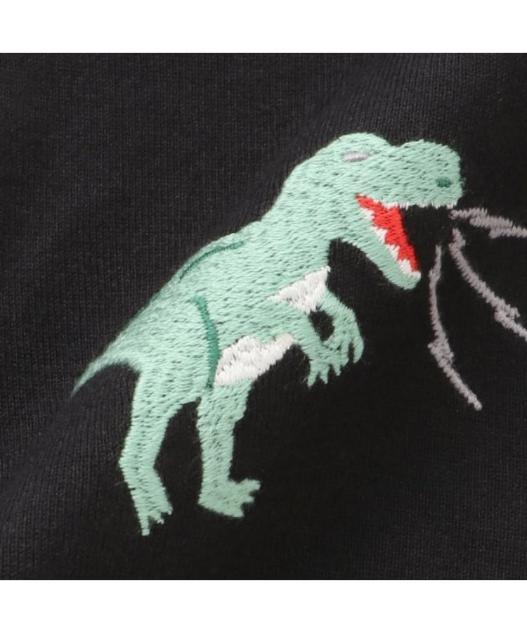 ケーピー(KP)の日本製/JAPANモチーフ長袖Tシャツ9