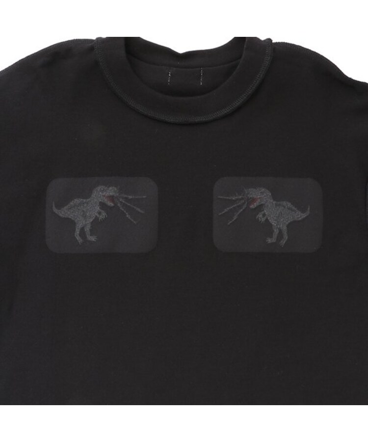 ケーピー(KP)の日本製/JAPANモチーフ長袖Tシャツ4