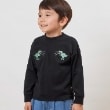 ケーピー(KP)の日本製/JAPANモチーフ長袖Tシャツ12