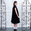 アナ スイ・ミニ(ANNA SUI mini)の【Premium】衿バタフライ プリーツワンピース14
