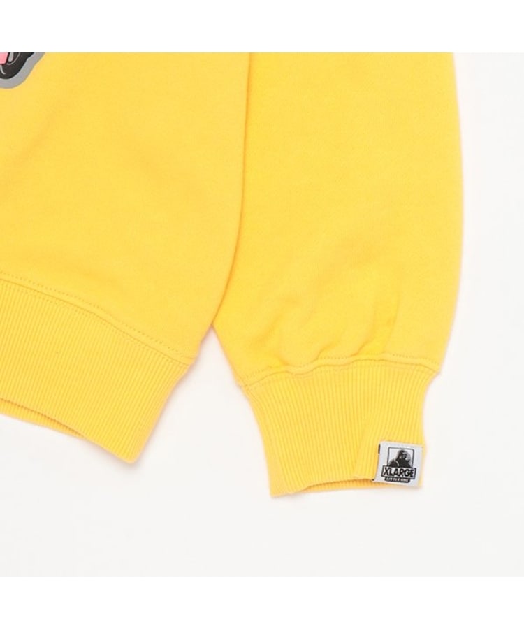 エクストララージ キッズ(XLARGE KIDS)の恐竜&クラシックカートレーナー4