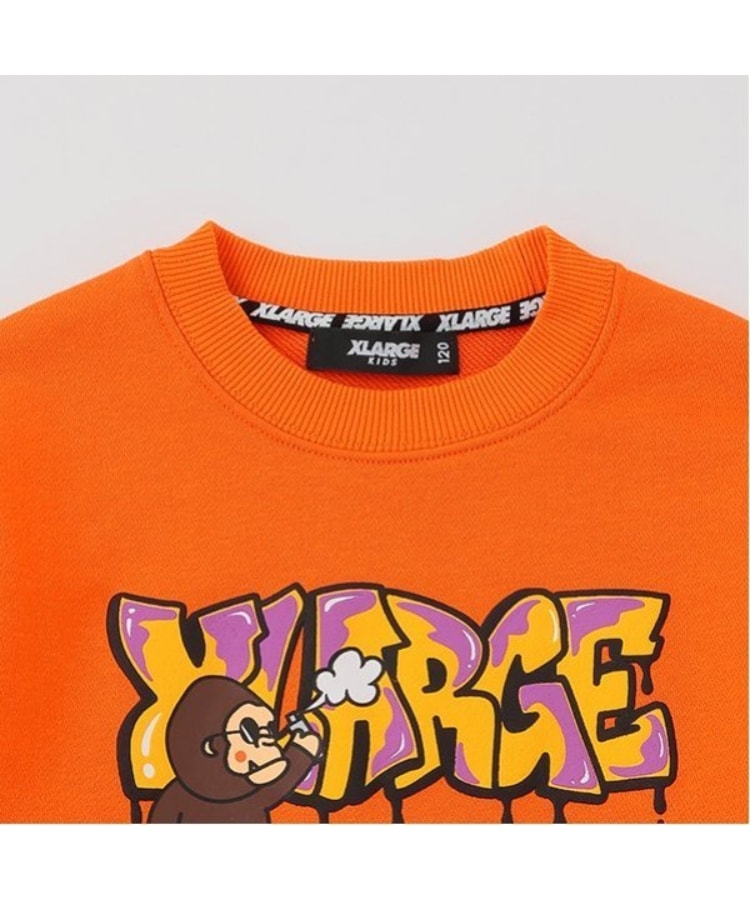 エクストララージ キッズ(XLARGE KIDS)のスプレーファニーゴリラトレーナー3