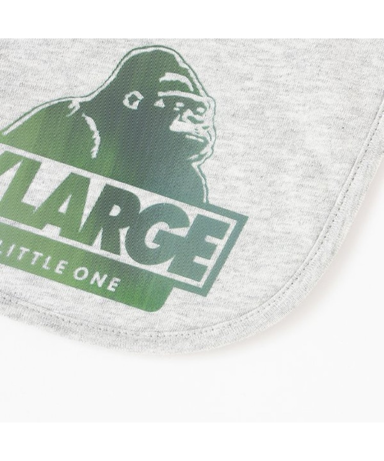 エクストララージ キッズ(XLARGE KIDS)のホログラムスランテッドOGスタイ4