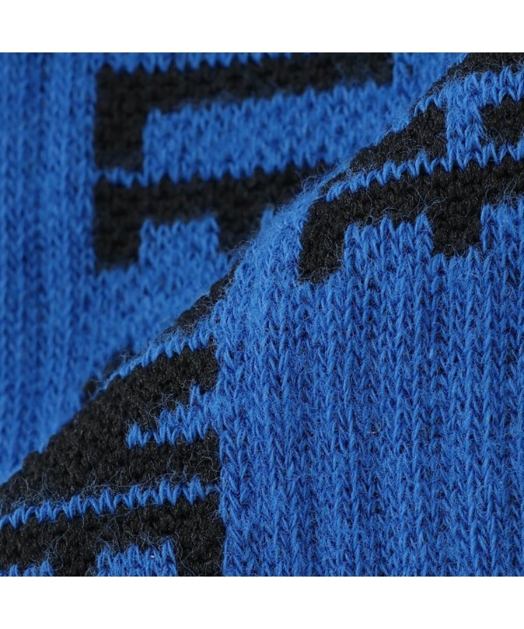 エクストララージ キッズ(XLARGE KIDS)のバーチカルロゴクルーソックス5