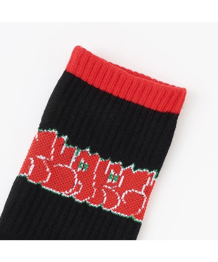 エクストララージ キッズ(XLARGE KIDS)のグラフィティロゴクルーソックス1