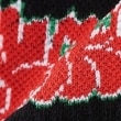 エクストララージ キッズ(XLARGE KIDS)のグラフィティロゴクルーソックス4