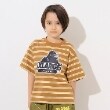 エクストララージ キッズ(XLARGE KIDS)のスランテッドOGボーダー半袖Tシャツ ブラウン(043)