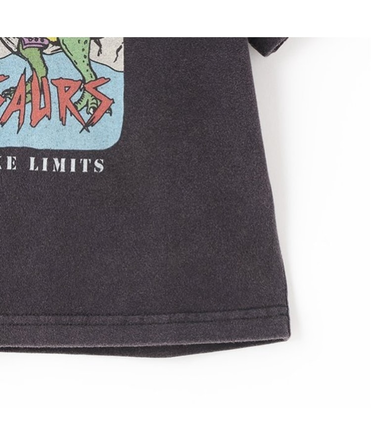 エクストララージ キッズ(XLARGE KIDS)の恐竜ロック半袖Tシャツ7