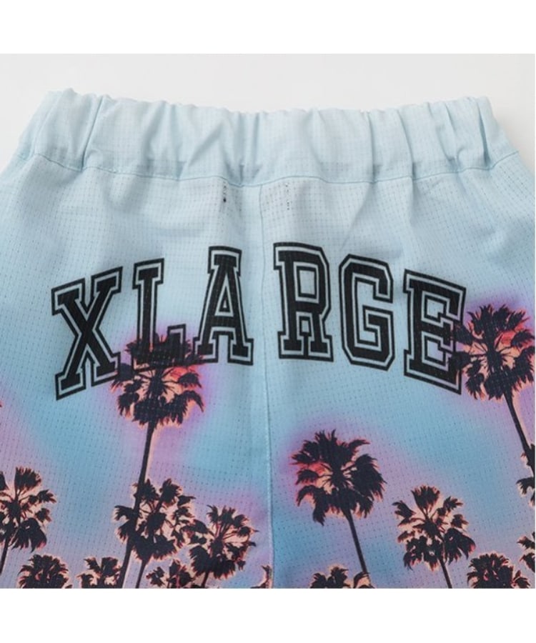 エクストララージ キッズ(XLARGE KIDS)のパームツリーショートパンツ5