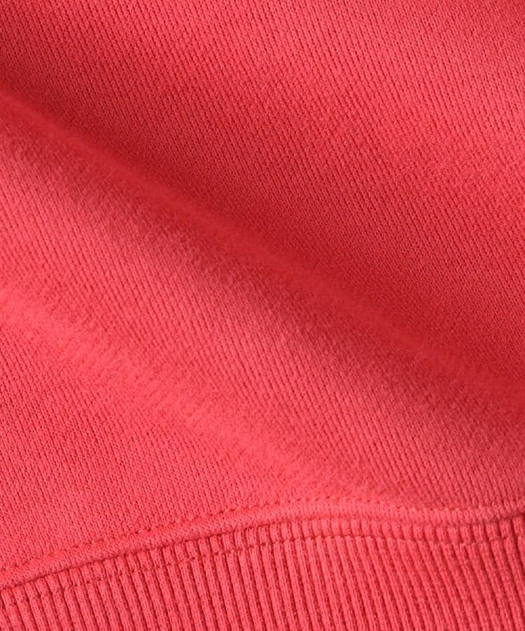 ライトオン(Right-on)のChampion(チャンピオン)プリント裏毛クルースウェット16