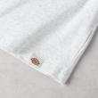 ライトオン(Right-on)のDickies(ディッキーズ)プリントラグランＴシャツ15
