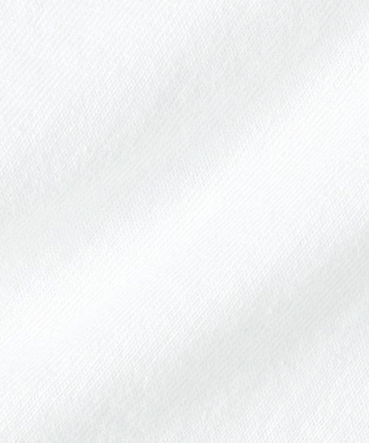 ライトオン(Right-on)のDickies(ディッキーズ)ワンポイントリンガーＴシャツ16