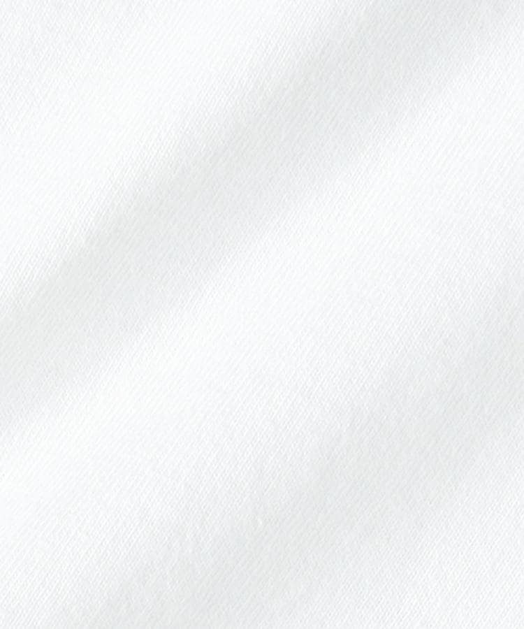 ライトオン(Right-on)のDickies(ディッキーズ)アイコンロゴクロップドＴシャツ14