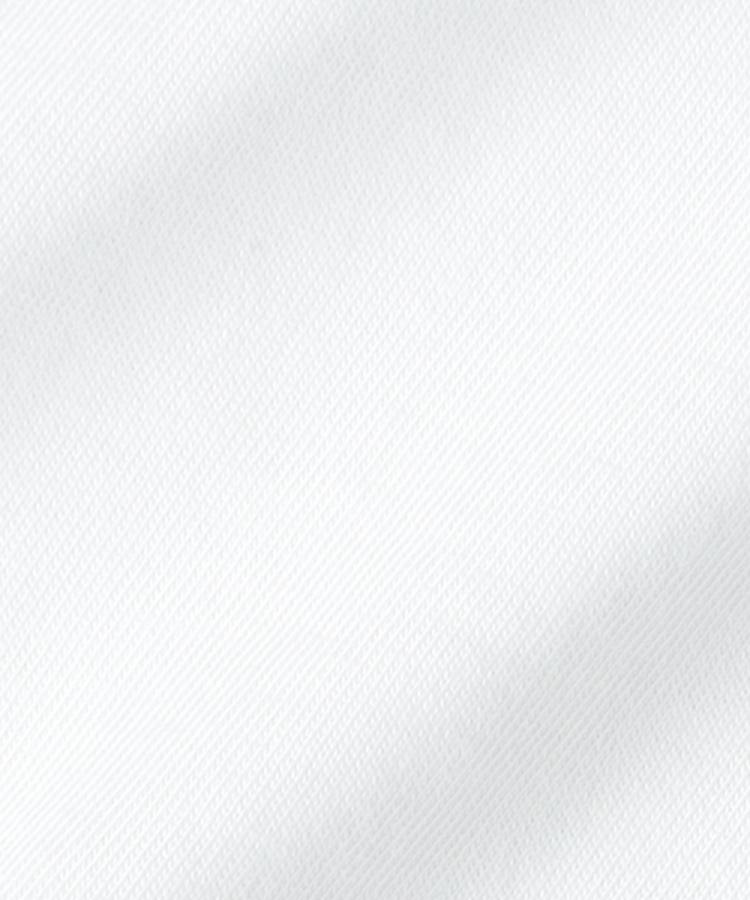 ライトオン(Right-on)のLACOSTE(ラコステ)ワニロゴルーズフィットＴ3